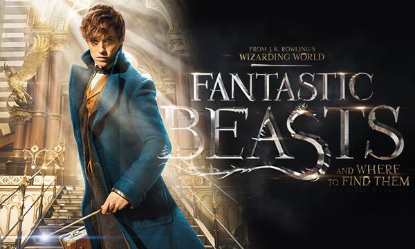 Fantastic Beasts and Where to Find Them Magically Brings Back Harry Potter Nostalgia