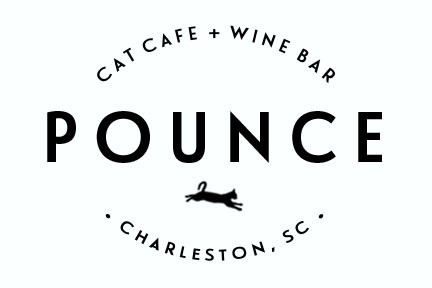 Pounce Cat Cafe is a Friendly, Clean Cafe