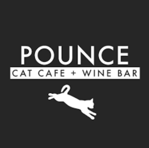 Pounce Cat Cafe is a restaurant reserved for cat lovers only