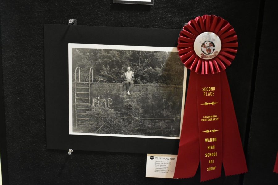 Second Place Award for Beginning Photography. Created by Eliza Latsbaugh
