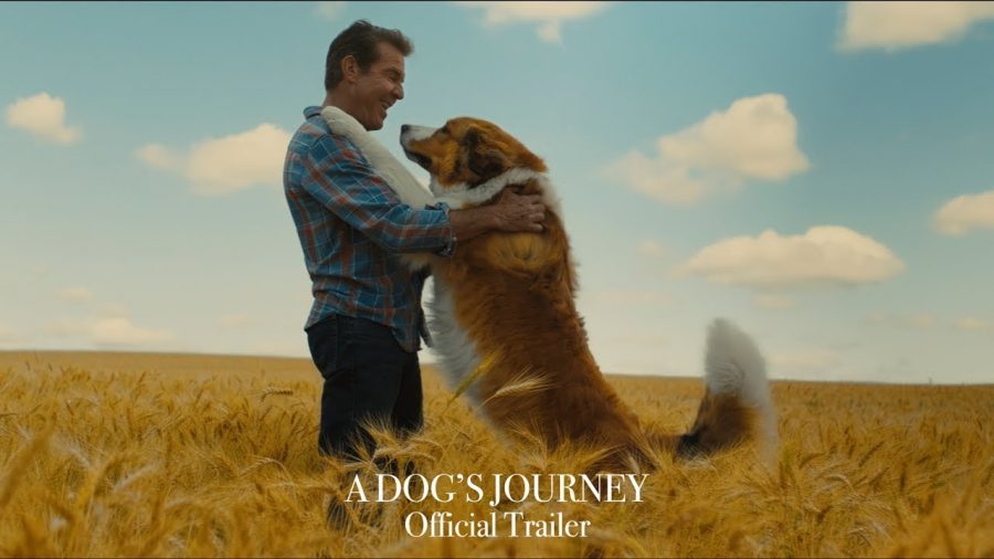 'A Dog's Journey' is the perfect idea of a happy-sad movie