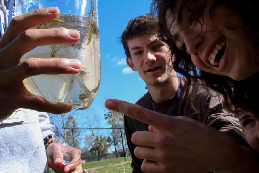 Senior Marshall Coppage points to the aquatic organism him and his partner, Senior Gabrielle Villacres, have caught for their eco-column on Feb 27 during an outdoor APES lab.