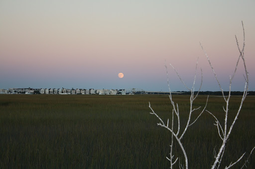 Full moon rising over the marsh in Mount Pleasant.
