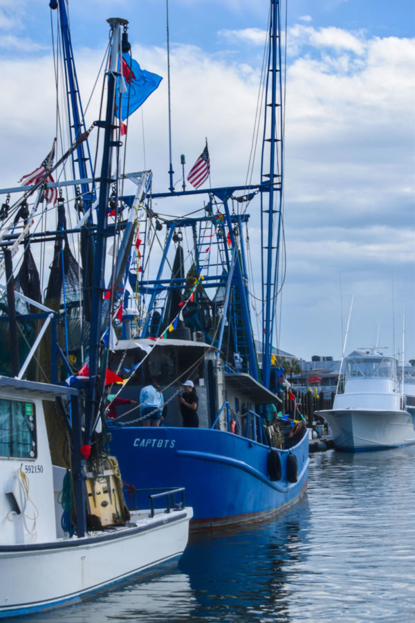 Lowcountry shrimpers decorate their boats in preparation for the blessing of the fleet.