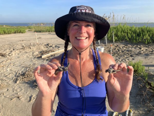 Associate principal Gretchen
Looney holds new hatchlings on
Cape Romain.