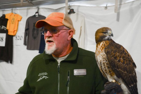 Volunteer Rick Brown displays a bird for people to learn about at the wildlife festival. ”I love these animals and I want to help them in anyway that I can,” Brown said