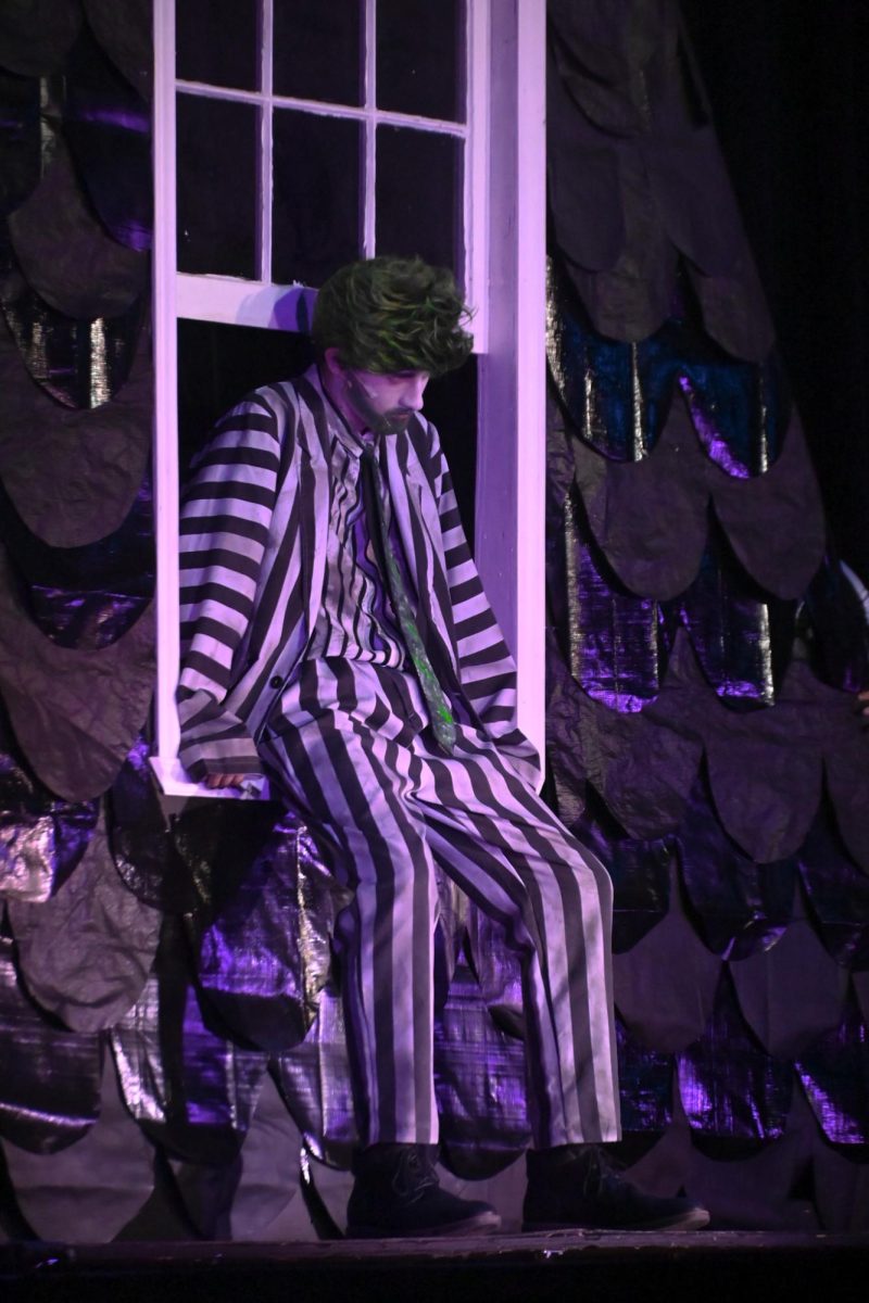 Senior Jeremy Rokos who plays Beetlejuice takes a brief moment during the show. 