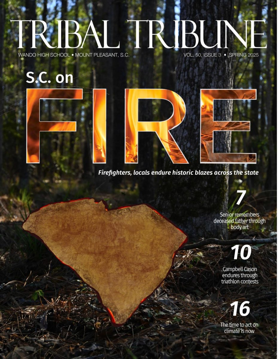 Wildfires have swept across the Carolinas since the start of 2026, with different major infernos raging from Horry County to Table Rock