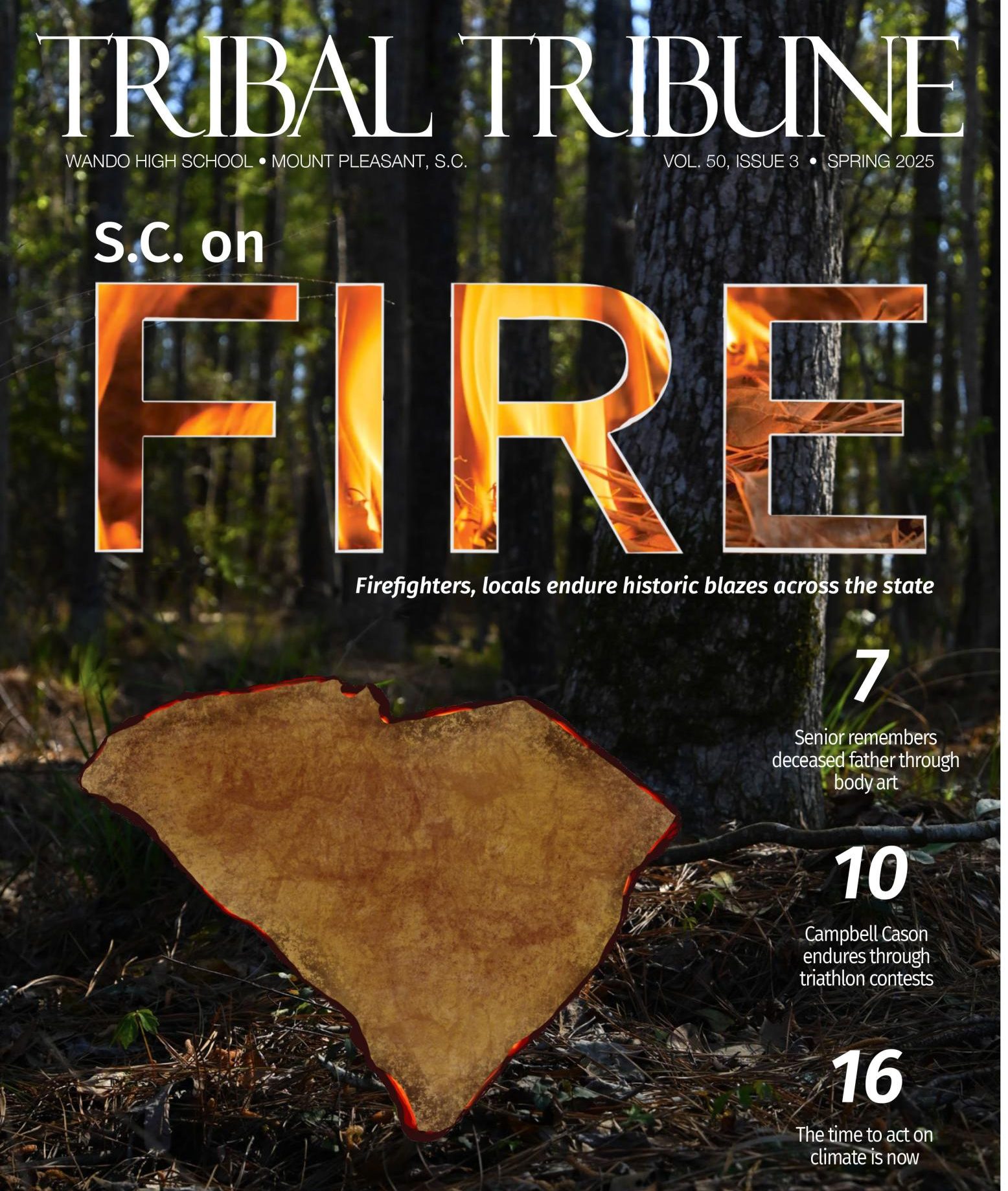 Wildfires have swept across the Carolinas since the start of 2026, with different major infernos raging from Horry County to Table Rock