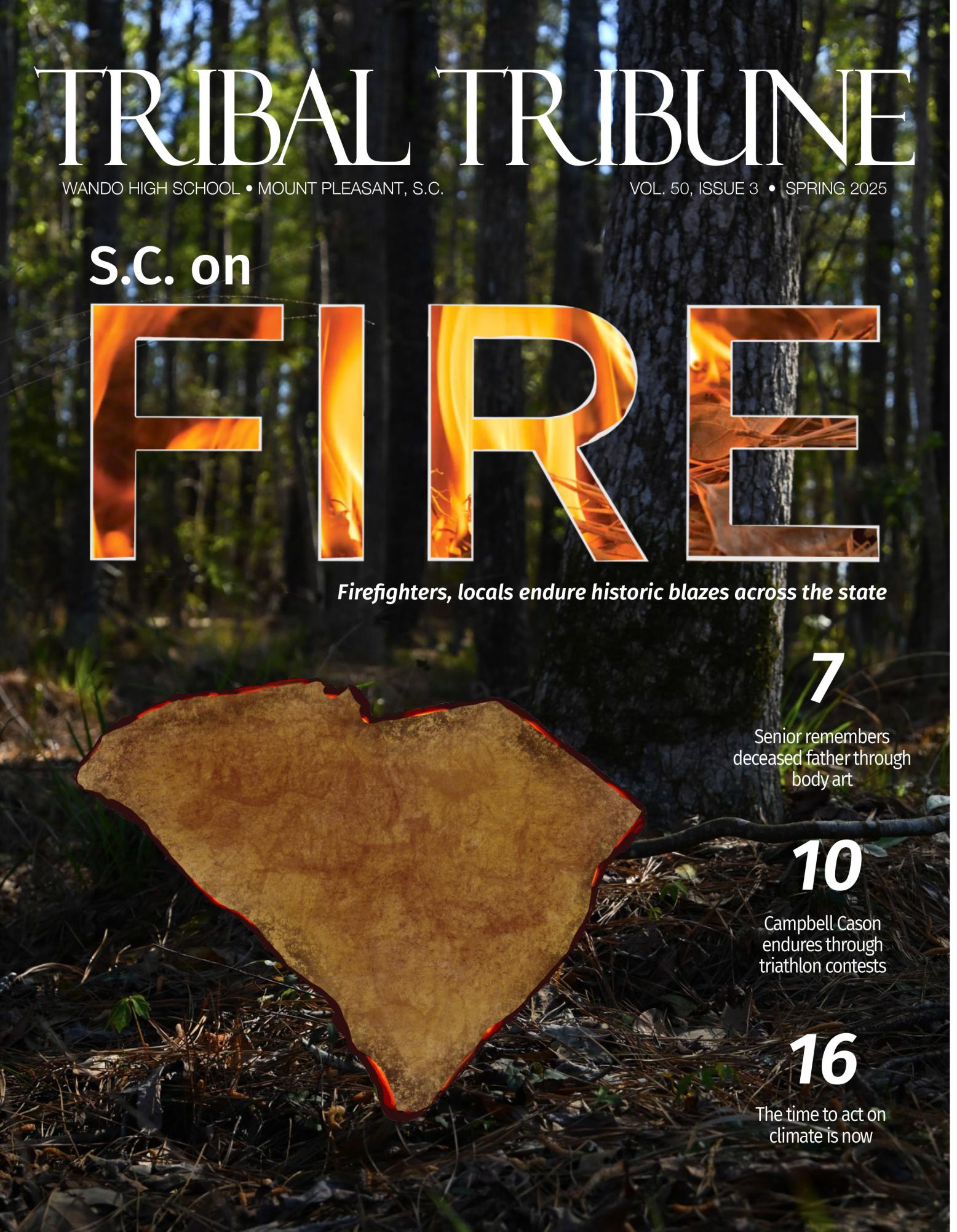 Wildfires have swept across the Carolinas since the start of 2026, with different major infernos raging from Horry County to Table Rock