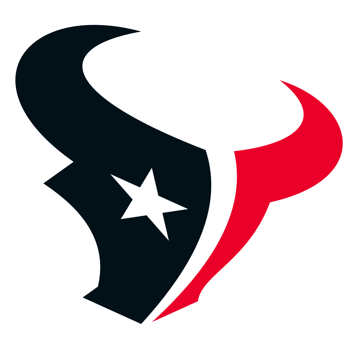 Fair Use – NFL