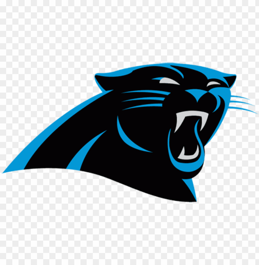 Fair Use – NFL