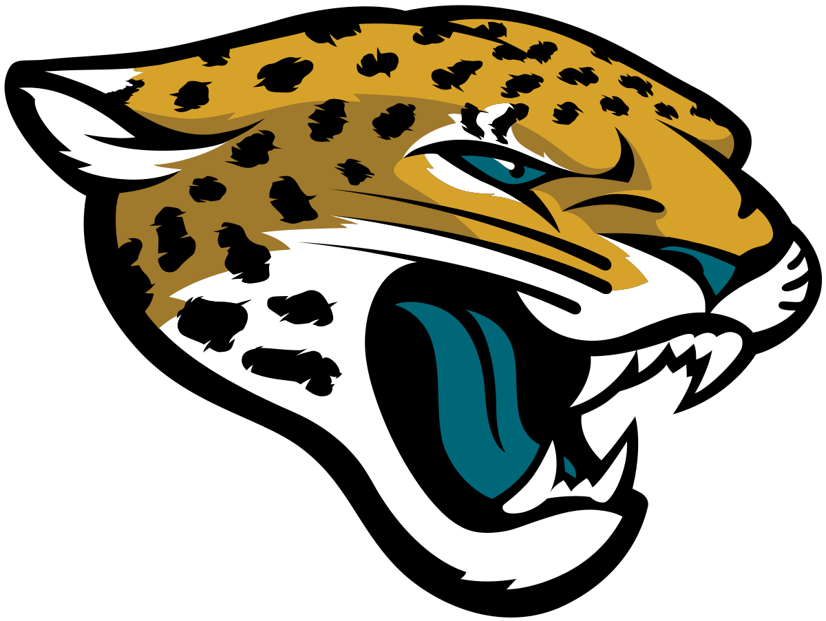 Fair Use – NFL