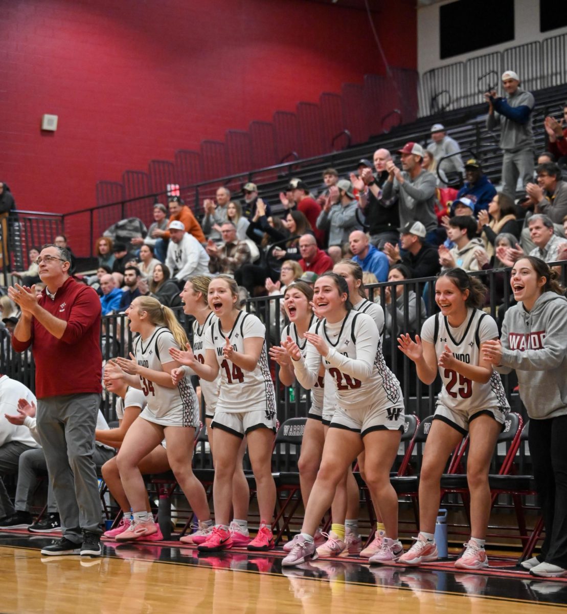 Varsity Girls Basketball VS. Goose Creek